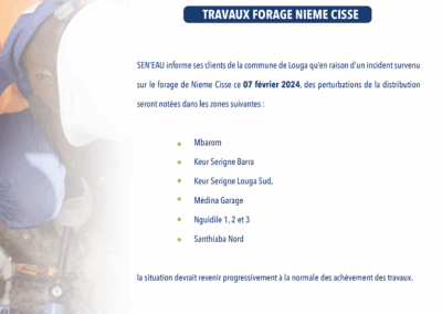 TRAVAUX FORAGE NIEME CISSE 08/02/2024