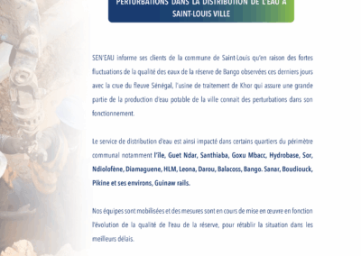 FLUCTUATIONS DE LA QUALITÉ DES EAUX DU FLEUVE : PERTURBATIONS DANS LA DISTRIBUTION DE L’EAU À SAINT-LOUIS VILLE 23/10/2024